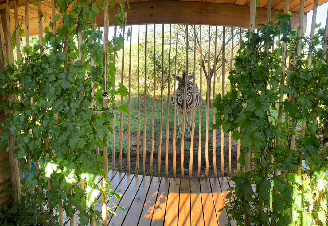 Mudhouse Zululand Villa Hluhluwe Exterior foto