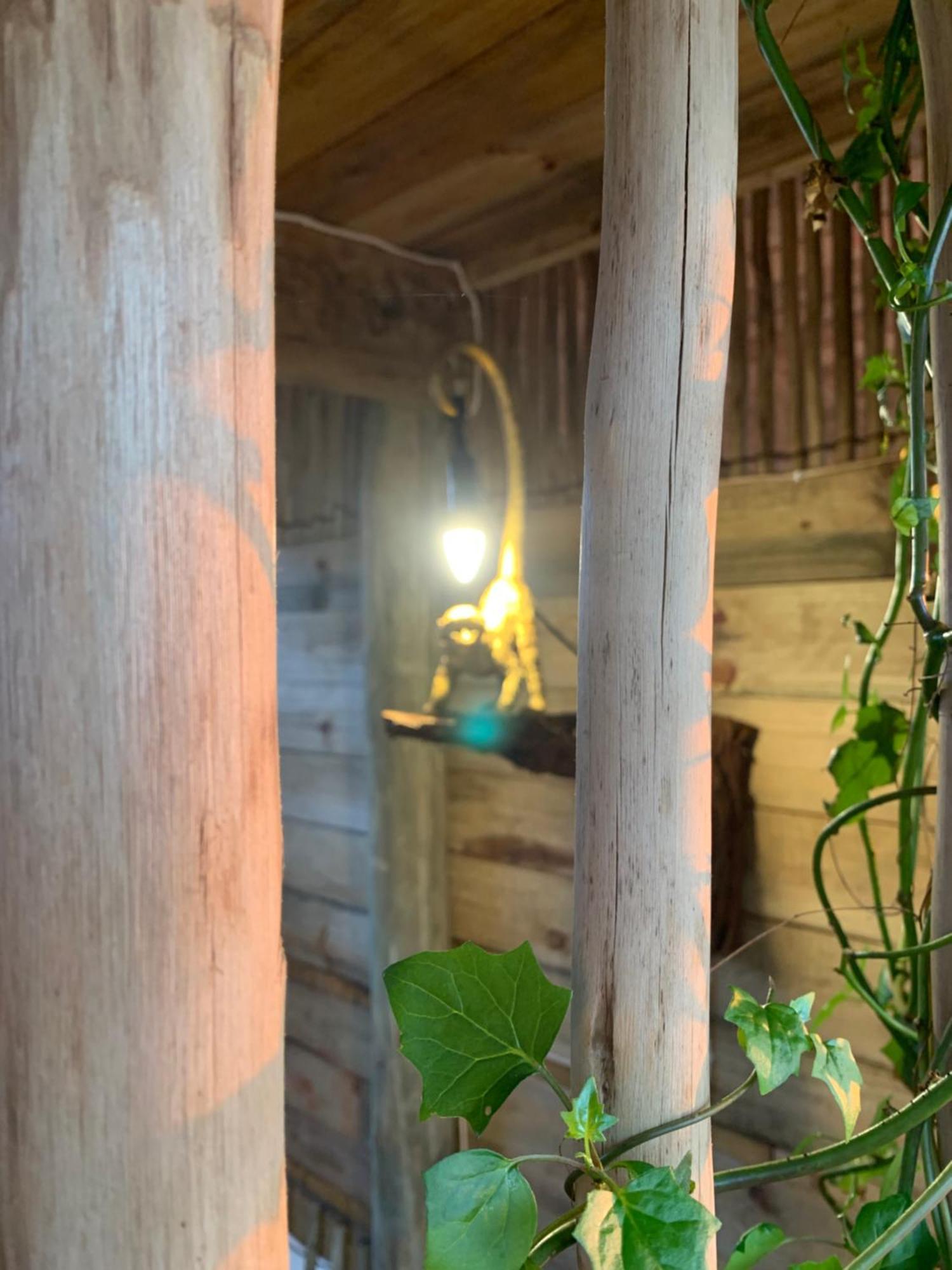 Mudhouse Zululand Villa Hluhluwe Cameră foto